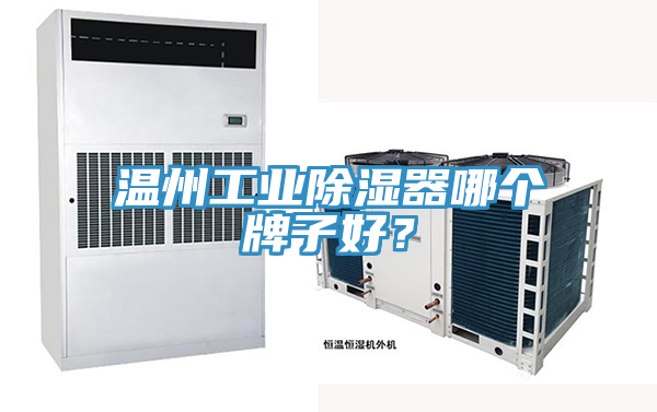 溫州工業(yè)除濕器哪個牌子好？