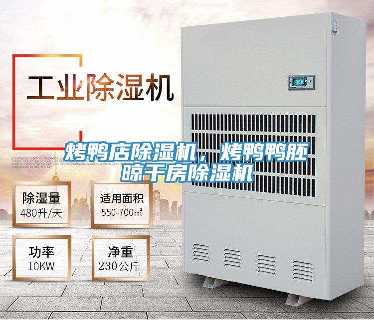 烤鴨店除濕機(jī)，烤鴨鴨胚晾干房除濕機(jī)
