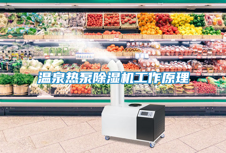 溫泉熱泵除濕機(jī)工作原理