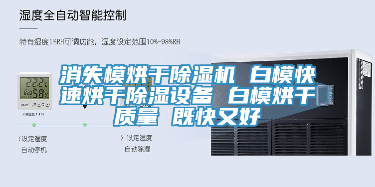 消失模烘干除濕機(jī) 白模快速烘干除濕設(shè)備 白模烘干質(zhì)量 既快又好