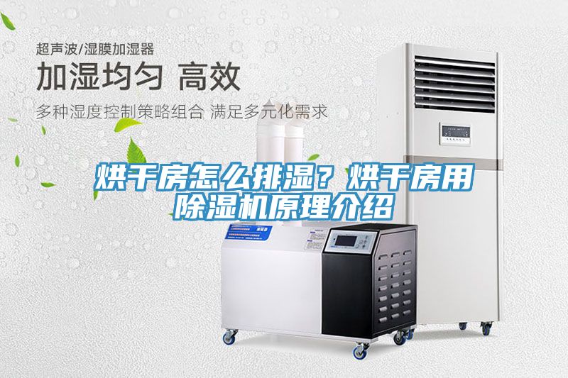 烘干房怎么排濕？烘干房用除濕機原理介紹