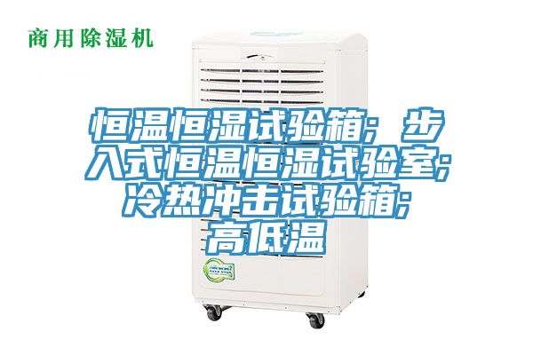 恒溫恒濕試驗(yàn)箱; 步入式恒溫恒濕試驗(yàn)室; 冷熱沖擊試驗(yàn)箱; 高低溫