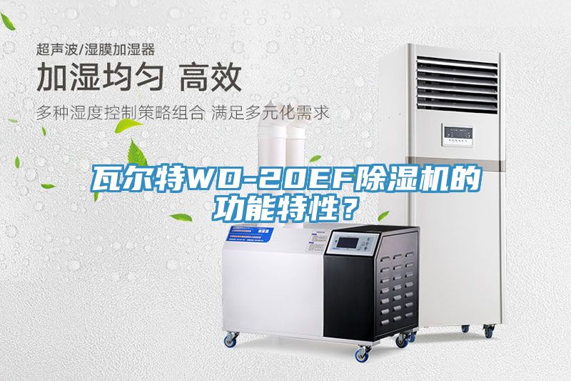 瓦爾特WD-20EF除濕機(jī)的功能特性？