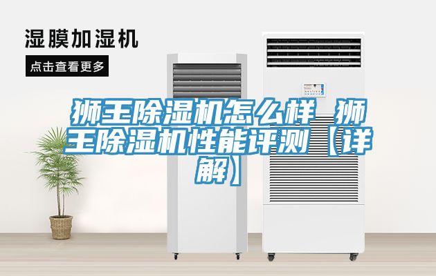 獅王除濕機(jī)怎么樣 獅王除濕機(jī)性能評(píng)測(cè)【詳解】
