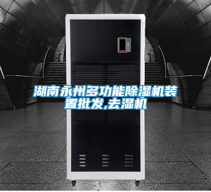 湖南永州多功能除濕機(jī)裝置批發(fā),去濕機(jī)