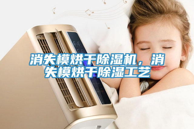 消失模烘干除濕機(jī)，消失模烘干除濕工藝