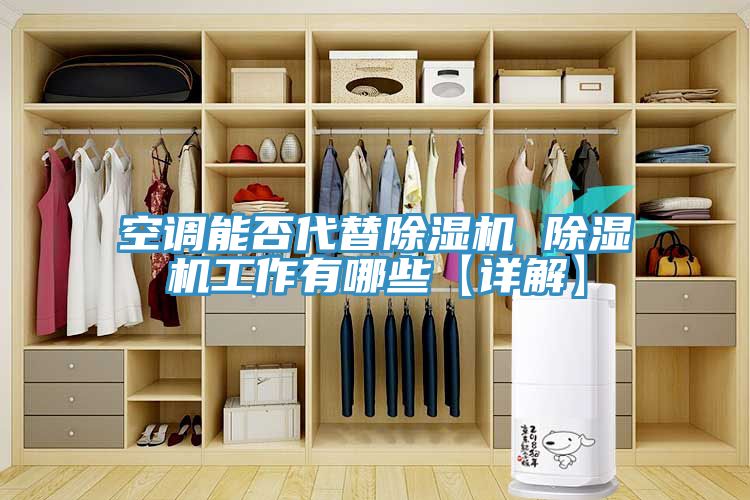 空調(diào)能否代替除濕機(jī) 除濕機(jī)工作有哪些【詳解】