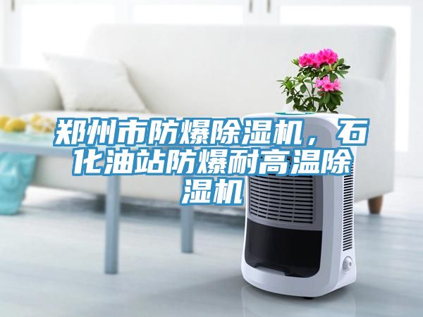 鄭州市防爆除濕機，石化油站防爆耐高溫除濕機
