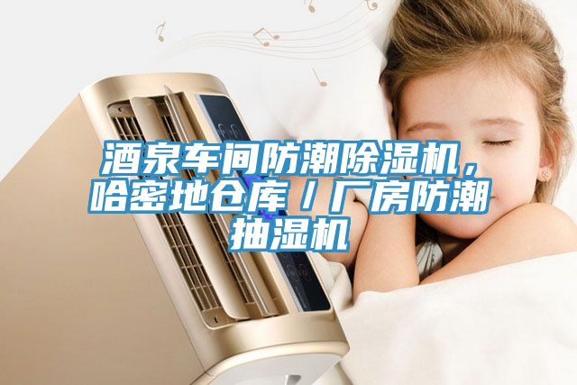 酒泉車間防潮除濕機(jī)，哈密地倉(cāng)庫(kù)／廠房防潮抽濕機(jī)