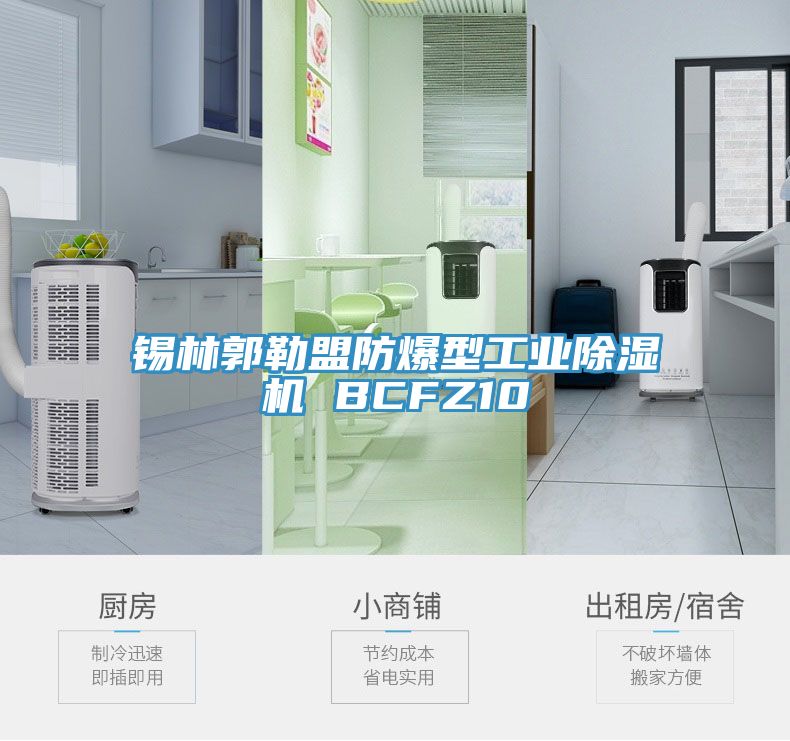 錫林郭勒盟防爆型工業(yè)除濕機(jī) BCFZ10