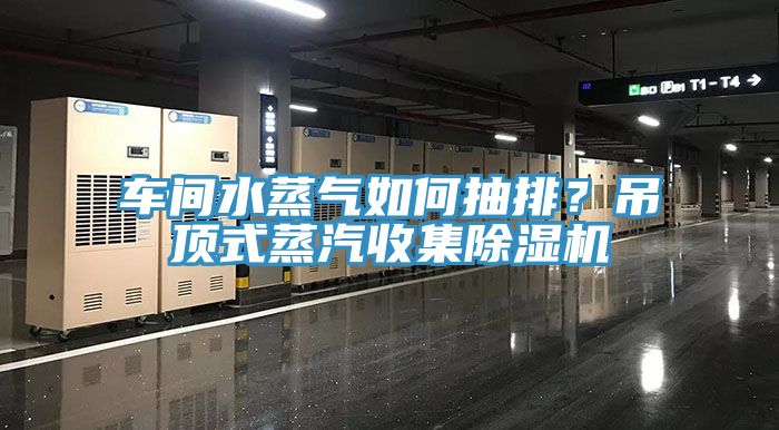 車間水蒸氣如何抽排？吊頂式蒸汽收集除濕機(jī)