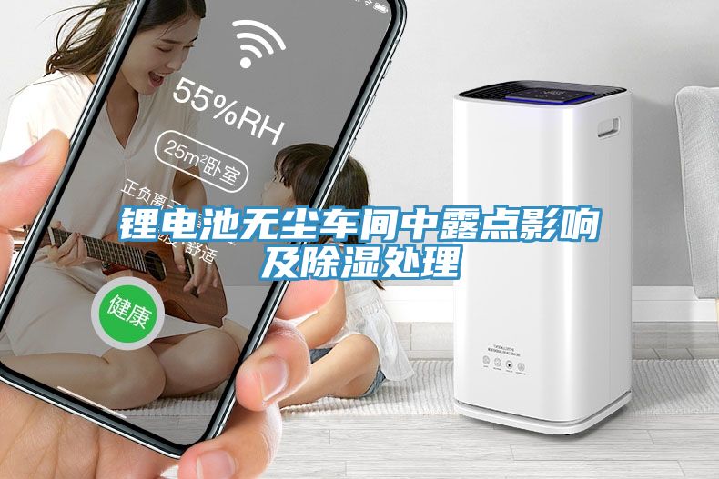 鋰電池?zé)o塵車(chē)間中露點(diǎn)影響及除濕處理