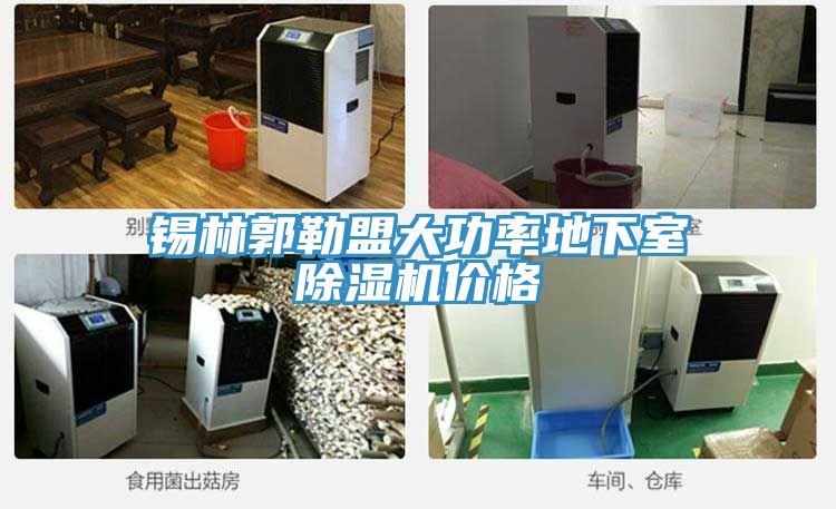 錫林郭勒盟大功率地下室除濕機(jī)價(jià)格