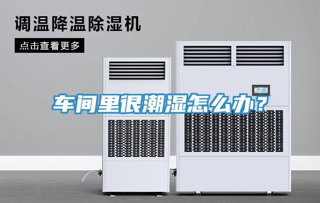 車間里很潮濕怎么辦？