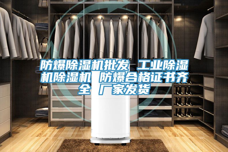 防爆除濕機(jī)批發(fā) 工業(yè)除濕機(jī)除濕機(jī) 防爆合格證書(shū)齊全 廠家發(fā)貨