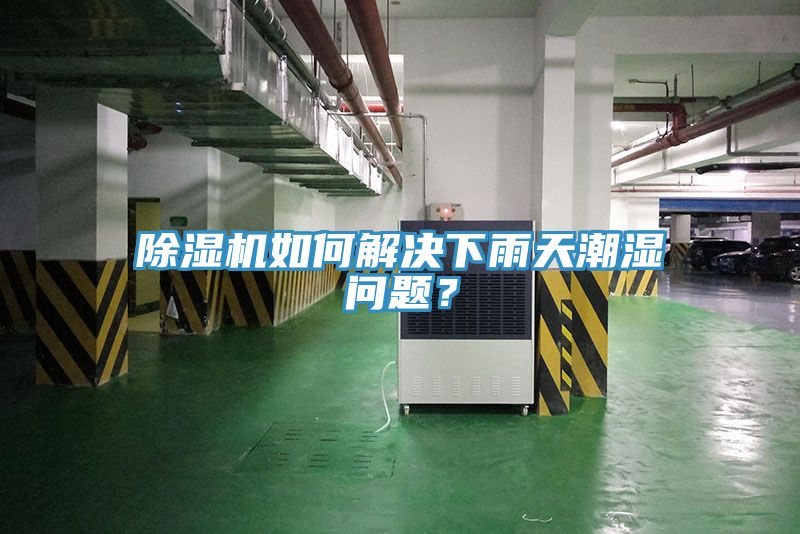 除濕機如何解決下雨天潮濕問題？