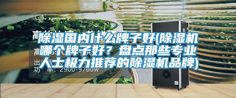 除濕國(guó)內(nèi)什么牌子好(除濕機(jī)哪個(gè)牌子好？盤(pán)點(diǎn)那些專業(yè)人士極力推薦的除濕機(jī)品牌)