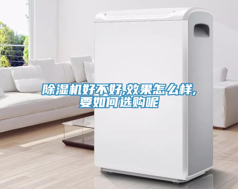 除濕機(jī)好不好,效果怎么樣,要如何選購(gòu)呢