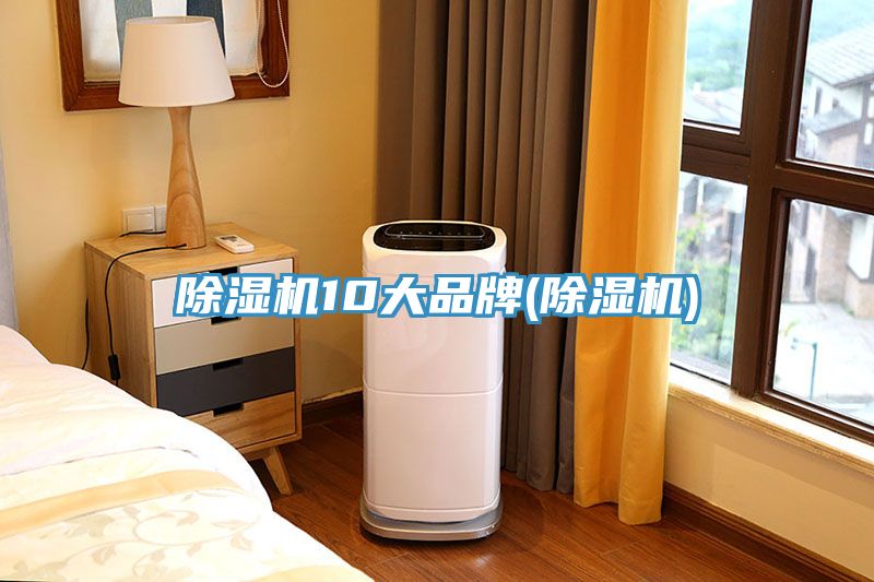 除濕機(jī)10大品牌(除濕機(jī))