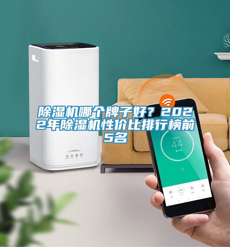 除濕機(jī)哪個牌子好？2022年除濕機(jī)性價比排行榜前5名