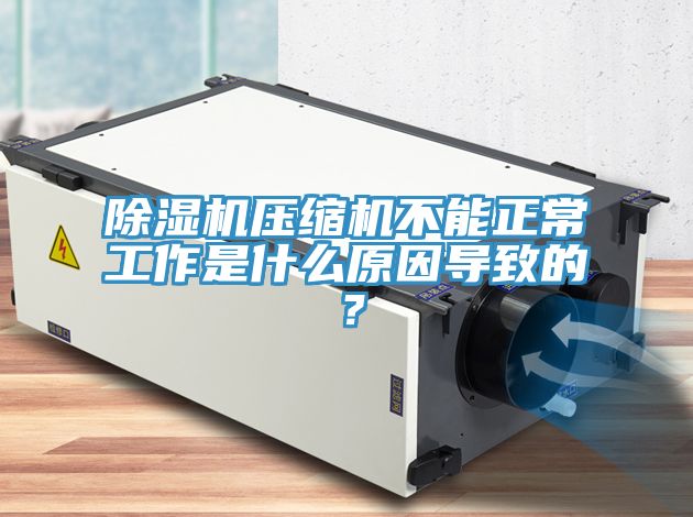 除濕機(jī)壓縮機(jī)不能正常工作是什么原因?qū)е碌模?/></p>
                            <p style=
