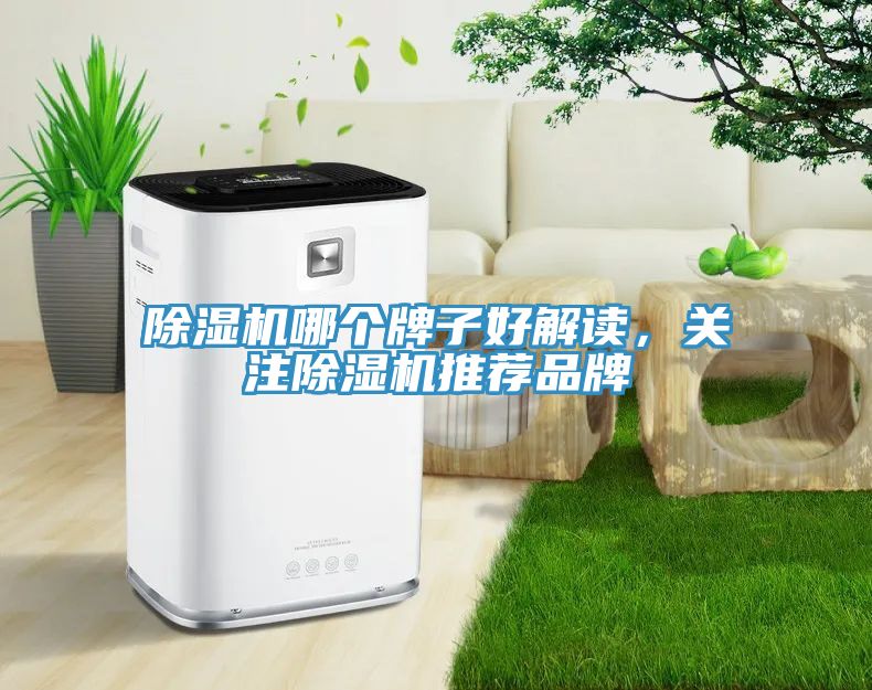 除濕機(jī)哪個牌子好解讀，關(guān)注除濕機(jī)推薦品牌