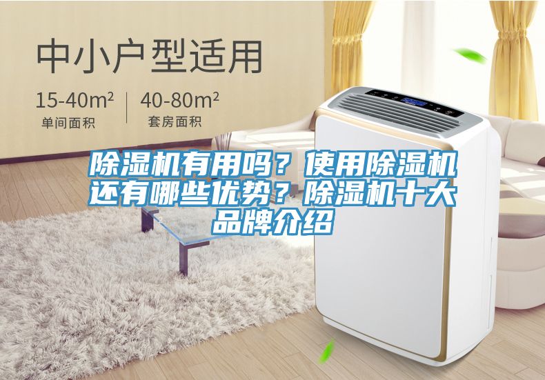 除濕機(jī)有用嗎？使用除濕機(jī)還有哪些優(yōu)勢？除濕機(jī)十大品牌介紹