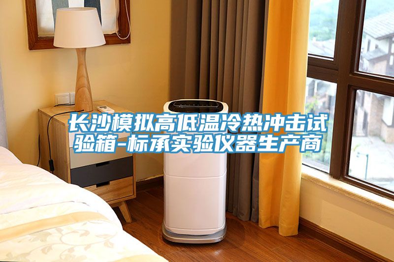 長沙模擬高低溫冷熱沖擊試驗箱-標(biāo)承實驗儀器生產(chǎn)商