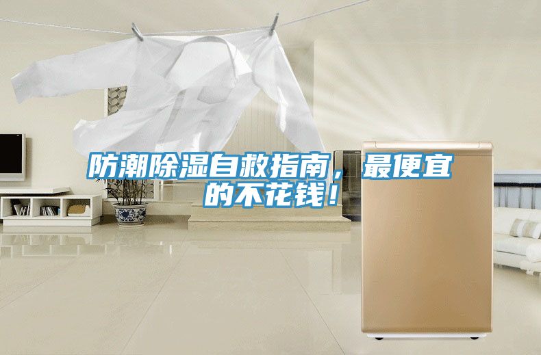 防潮除濕自救指南，最便宜的不花錢！