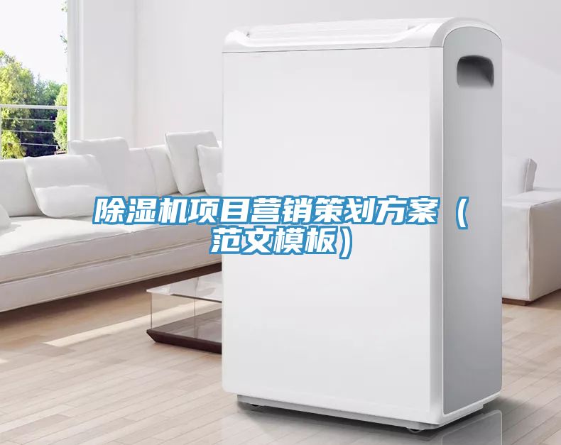 除濕機(jī)項目營銷策劃方案（范文模板）
