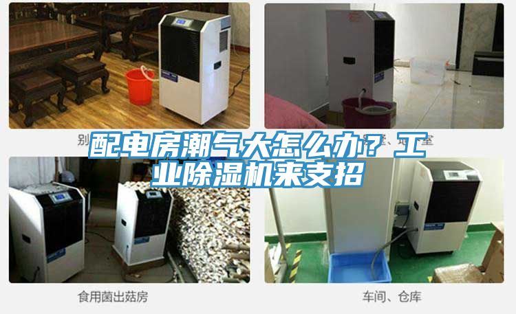 配電房潮氣大怎么辦？工業(yè)除濕機來支招