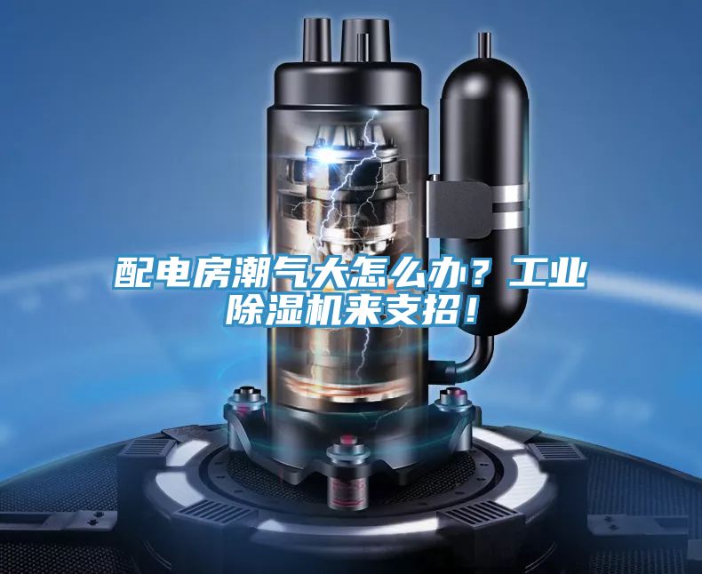 配電房潮氣大怎么辦？工業(yè)除濕機來支招！