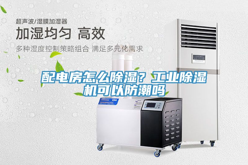 配電房怎么除濕？工業(yè)除濕機可以防潮嗎