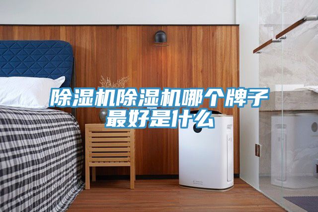 除濕機(jī)除濕機(jī)哪個牌子最好是什么
