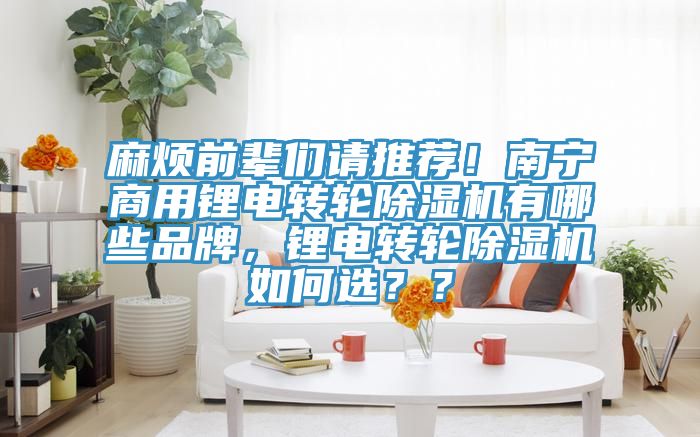 麻煩前輩們請(qǐng)推薦！南寧商用鋰電轉(zhuǎn)輪除濕機(jī)有哪些品牌，鋰電轉(zhuǎn)輪除濕機(jī)如何選？？