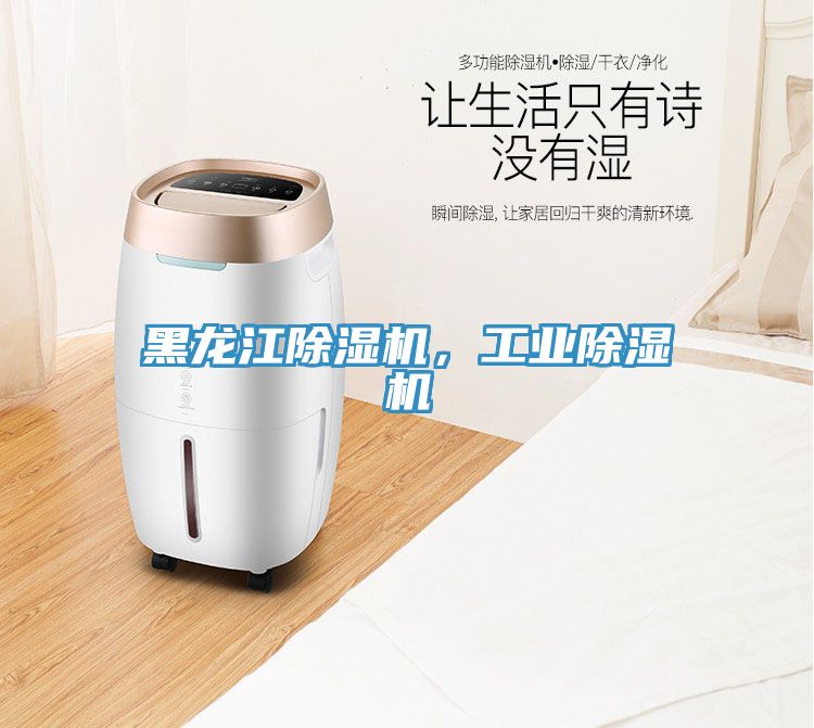 黑龍江除濕機(jī)，工業(yè)除濕機(jī)