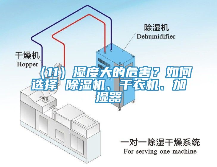 （11）濕度大的危害？如何選擇 除濕機(jī)、干衣機(jī)、加濕器