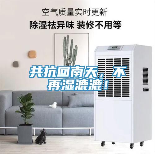 共抗回南天，不再濕漉漉！