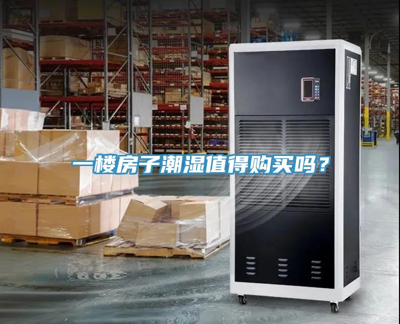 一樓房子潮濕值得購買嗎？