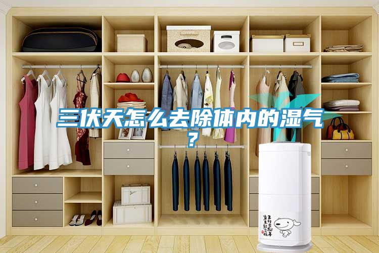 三伏天怎么去除體內(nèi)的濕氣？