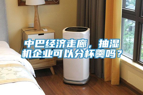 中巴經(jīng)濟(jì)走廊，抽濕機(jī)企業(yè)可以分杯羹嗎？