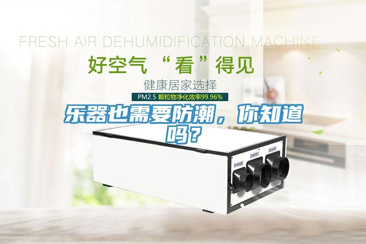 樂器也需要防潮，你知道嗎？