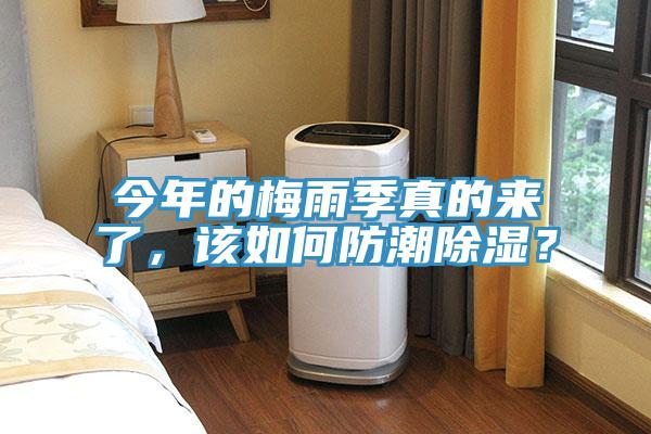 今年的梅雨季真的來了，該如何防潮除濕？