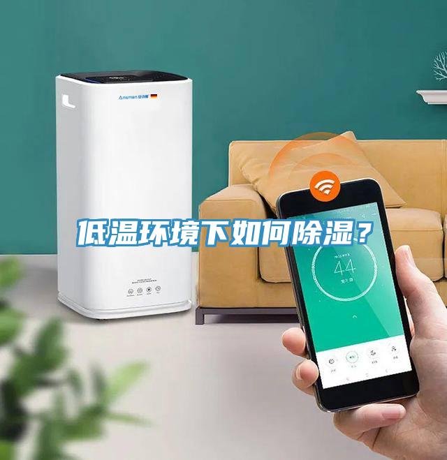 低溫環(huán)境下如何除濕？