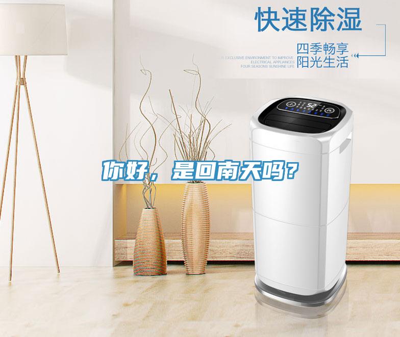 你好，是回南天嗎？
