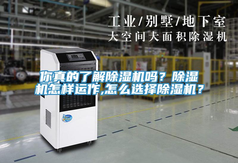 你真的了解除濕機(jī)嗎？除濕機(jī)怎樣運(yùn)作,怎么選擇除濕機(jī)？