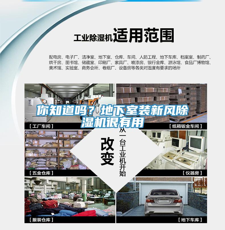 你知道嗎？地下室裝新風(fēng)除濕機很有用