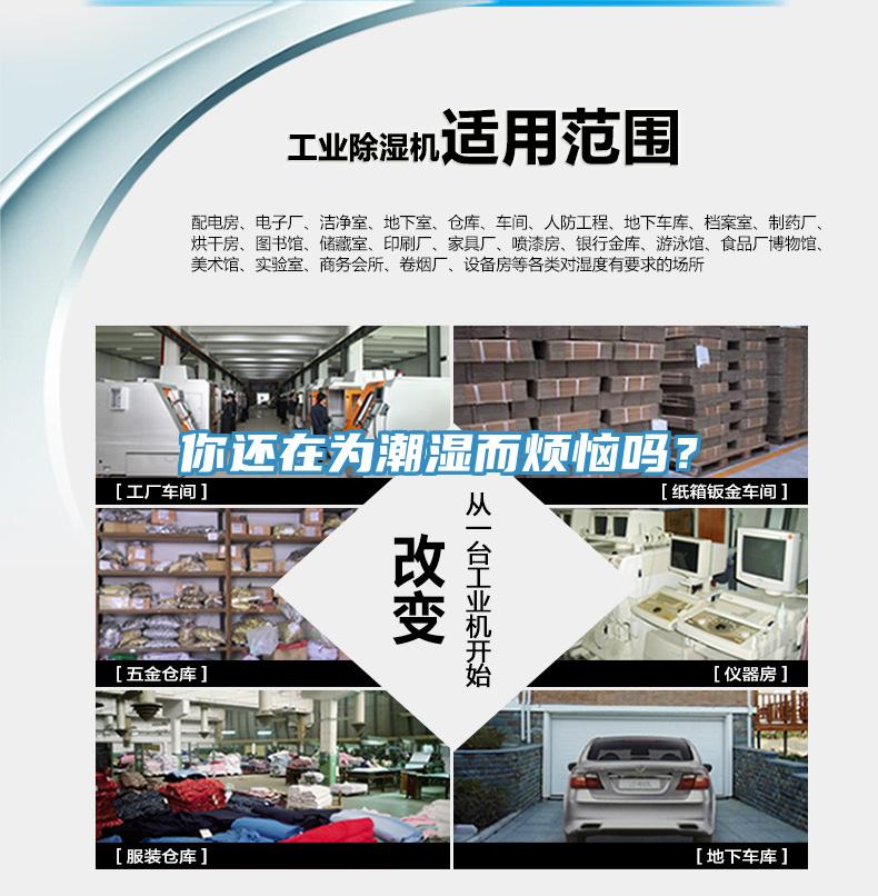 你還在為潮濕而煩惱嗎？
