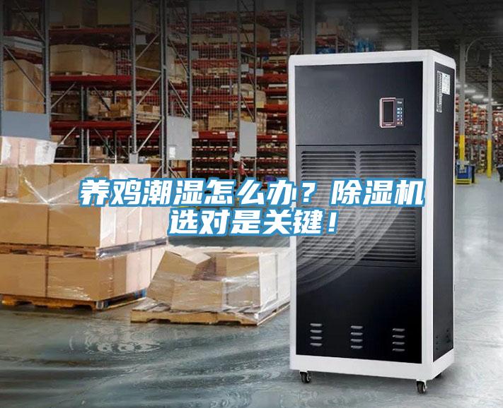 養(yǎng)雞潮濕怎么辦？除濕機選對是關鍵！