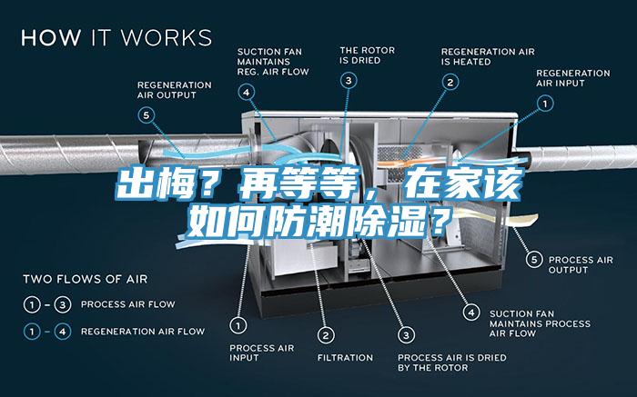 出梅？再等等，在家該如何防潮除濕？